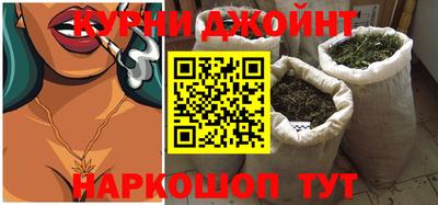 молекула духа Будённовск