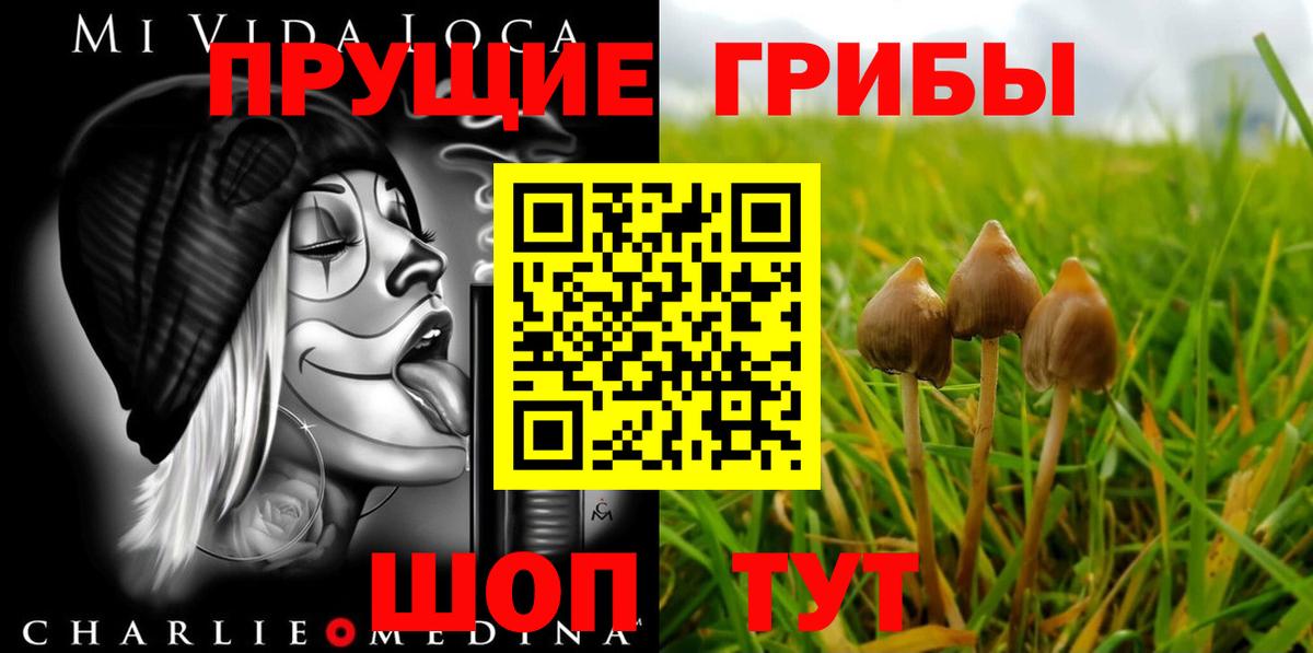 Галлюциногенные грибы Psilocybine cubensis Ртищево