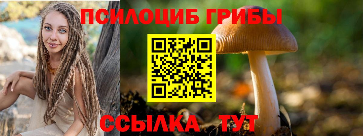 Галлюциногенные грибы мицелий  Вход с VPN  Ртищево 